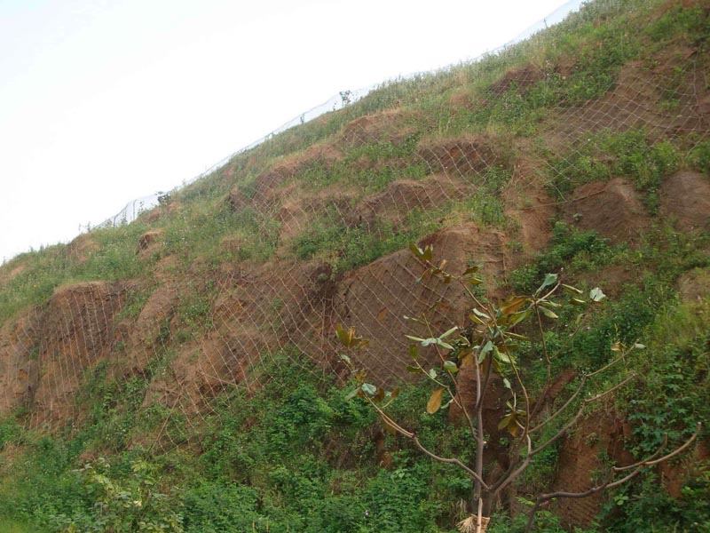 GNS2Ͱӷo(h)W(wng) (2).jpg