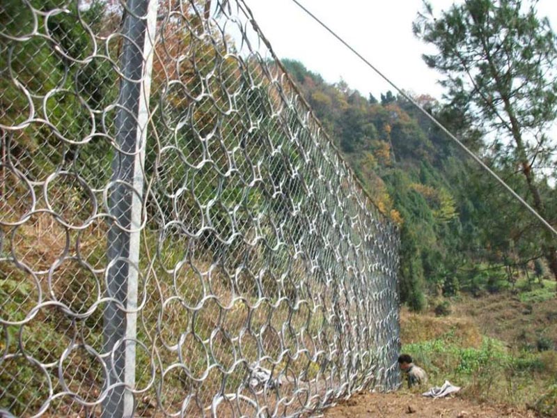 RXI-100ͱӷoW (3).jpg