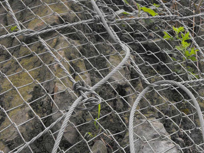 GAR1ӷoW(wng)a(chn)S